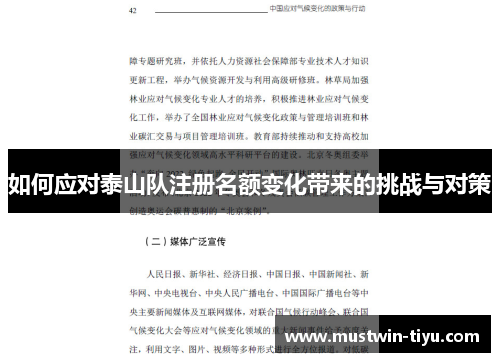 如何应对泰山队注册名额变化带来的挑战与对策