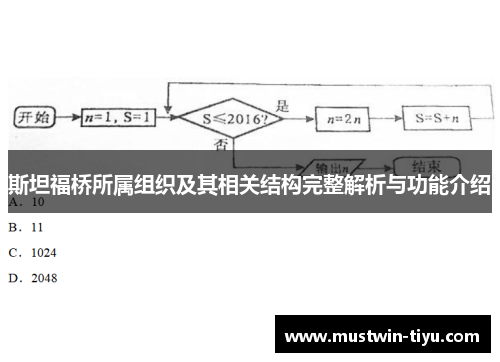 斯坦福桥所属组织及其相关结构完整解析与功能介绍