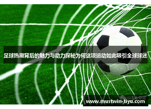 足球热潮背后的魅力与动力探秘为何这项运动如此吸引全球球迷