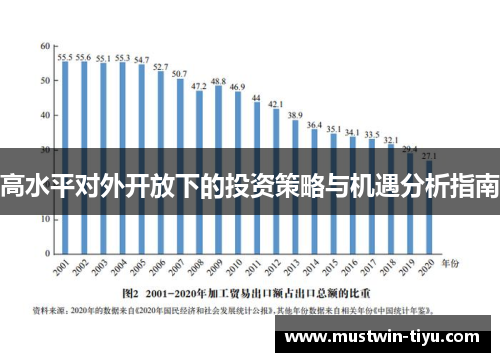 高水平对外开放下的投资策略与机遇分析指南
