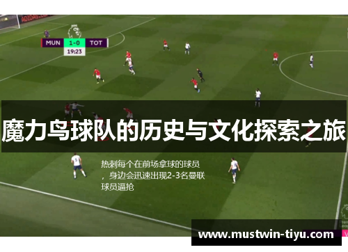魔力鸟球队的历史与文化探索之旅