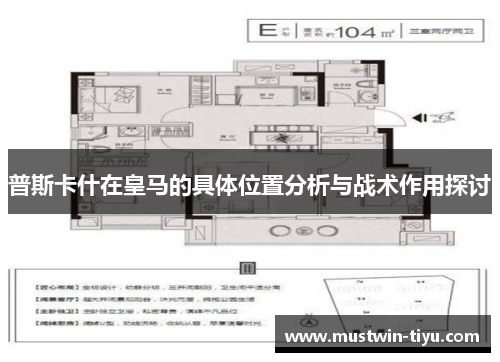普斯卡什在皇马的具体位置分析与战术作用探讨